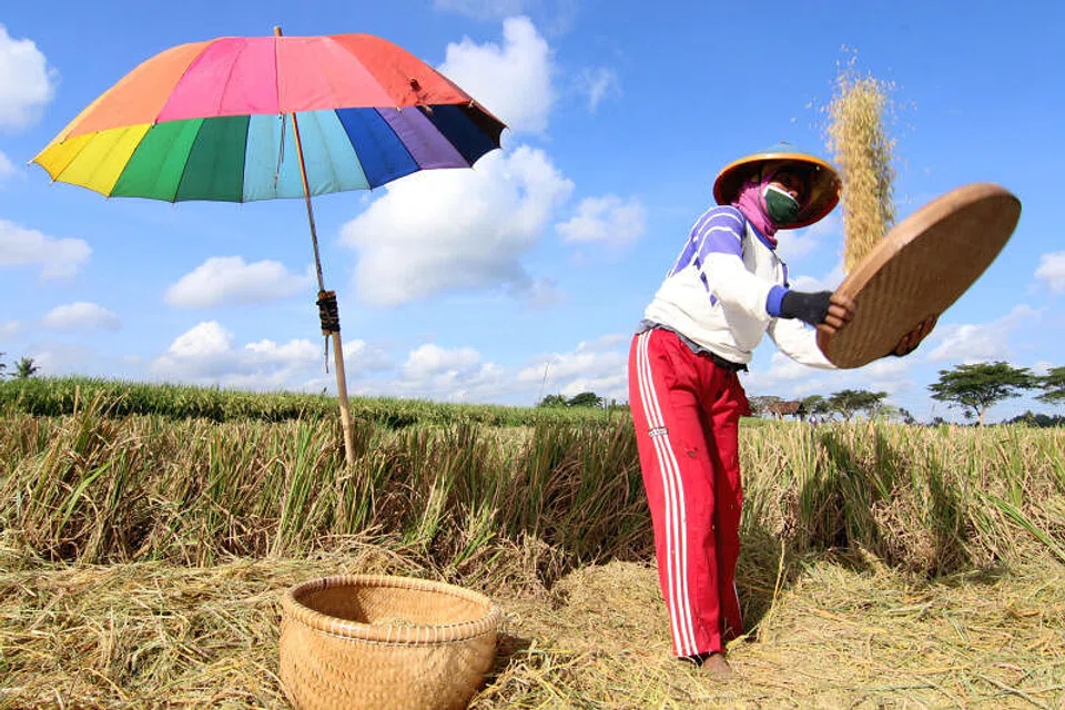 Indonesia doubles volume of rice released to market to blunt price ...