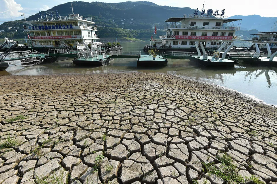 This photo taken on Aug 16 shows a section of a parched river bed along the Yangtze River in China's southwestern Chongqing. A severe drought has shrunk rivers, disrupting the region’s supply of water and hydropower, and prompting officials to limit electricity to businesses and homes.