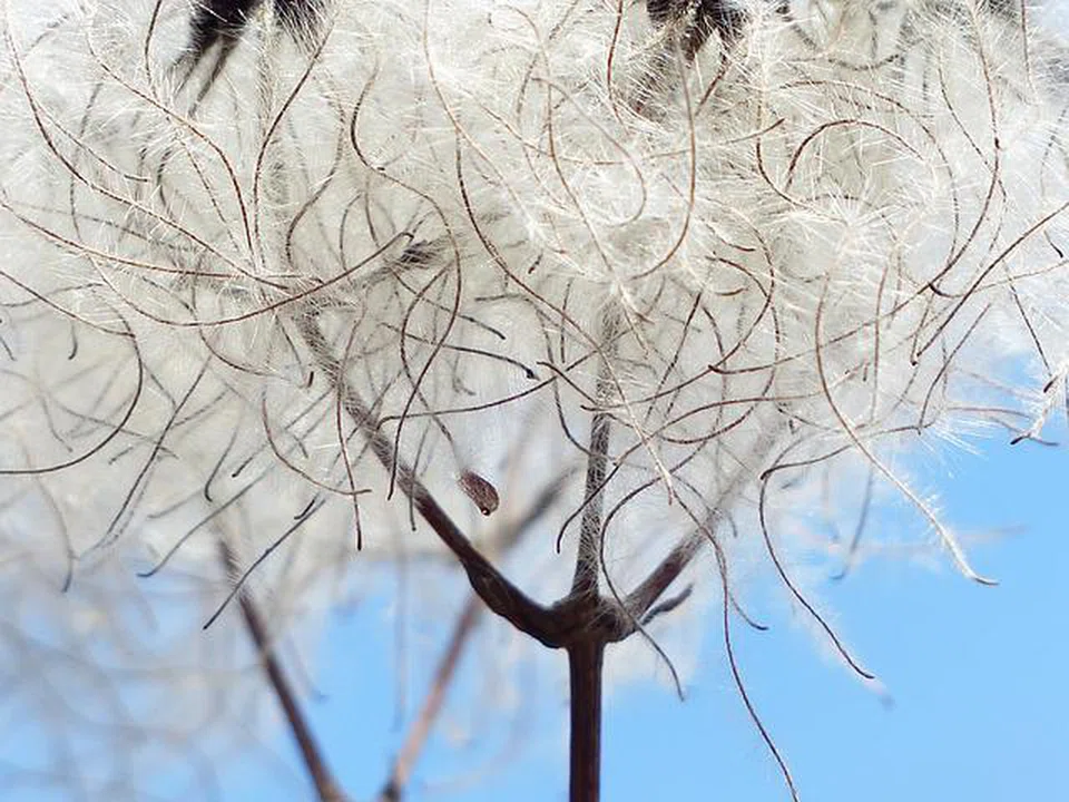 Woolliness is the enemy of accuracy as well as utility.