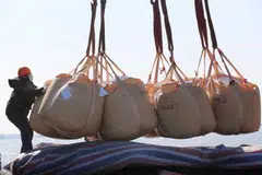 The quotas, set well below year-ago export levels, would expand China's intervention in the market to keep a lid on domestic prices and protect food security while global fertiliser prices are hovering near record highs.