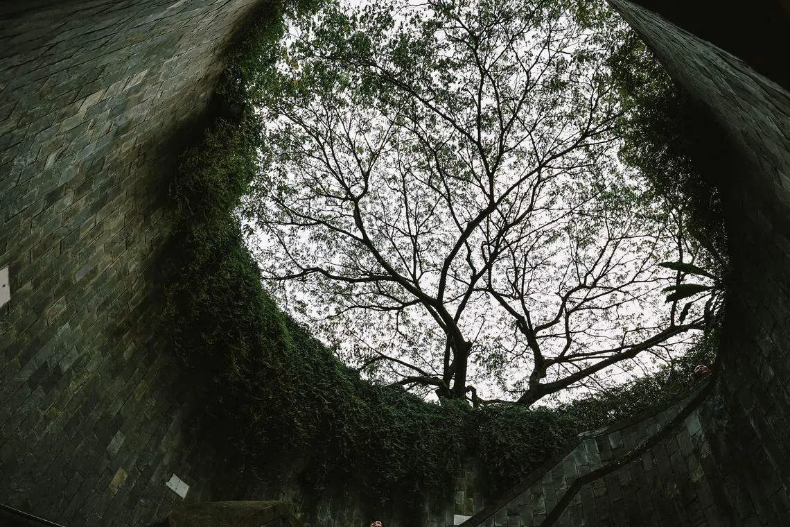 Critical gaps in sustainability practices in Asia remain, particularly when it comes to net-zero targets, transparency in emissions reporting and sustainability training. PHOTO: