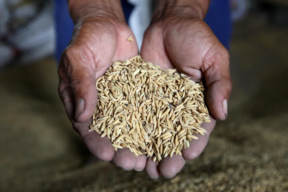 Two trade sources said earlier this week that some rice exporters in Thailand and Vietnam were re-negotiating prices on sales contracts for around half a million tonnes for August shipment as India’s ban tightens global supplies.