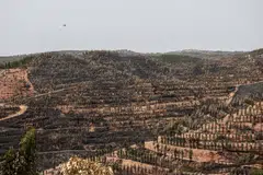 Scorched land following a forest fire in the Gale de Cima area in the municipality of Aljezur, south of Portugal, Aug 9, 2023. Next year could be even hotter than this year because of the Pacific warming phenomenon known as El Nino.