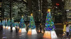 Eighty trees adorned with Christmas lights have been lit along the Marina Bay Waterfront Promenade on Monday as part of an initiative to raise funds and rally support towards charitable causes.