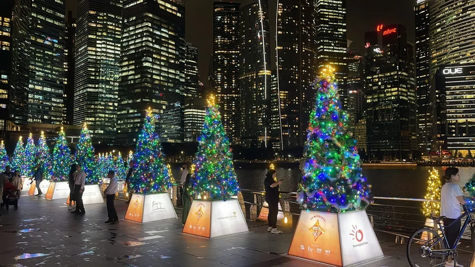 Eighty trees adorned with Christmas lights have been lit along the Marina Bay Waterfront Promenade on Monday as part of an initiative to raise funds and rally support towards charitable causes.