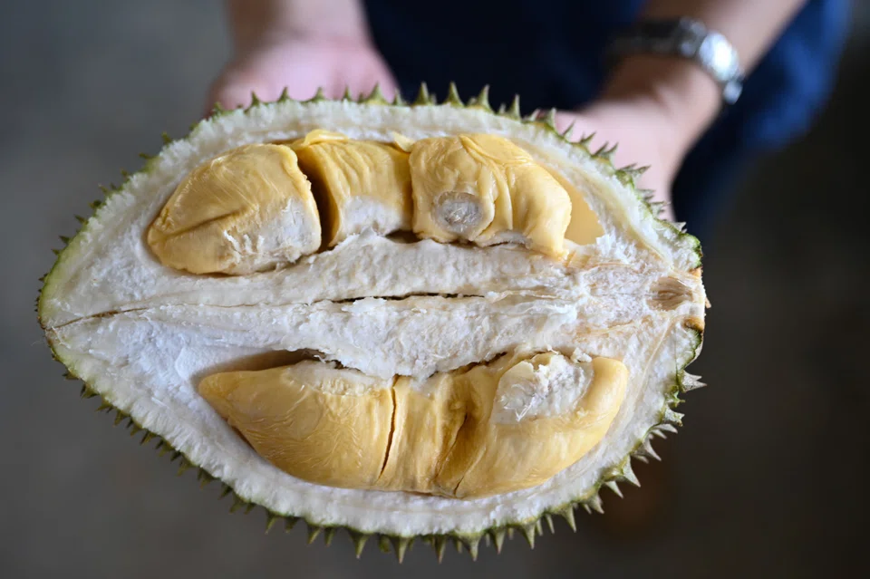 The durian and health foods distributor’s independent director Low Chin Parn Eric will be resigning effective from Sep 13, citing personal reasons for his departure from the company. 