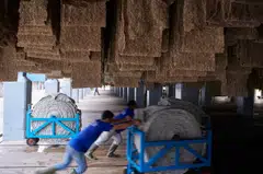 Revenue of natural rubber supplier Halcyon Agri climbed 18.9 per cent to US$617.3 million in Q1 on the back of higher sales volume and higher average selling prices, it said on Friday.