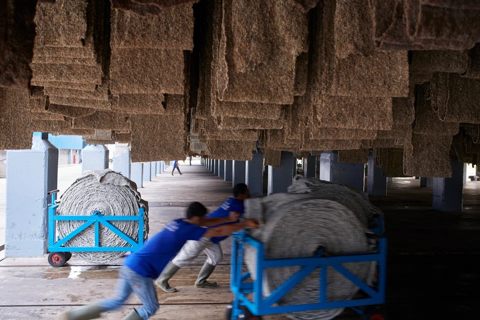 Revenue of natural rubber supplier Halcyon Agri climbed 18.9 per cent to US$617.3 million in Q1 on the back of higher sales volume and higher average selling prices, it said on Friday.