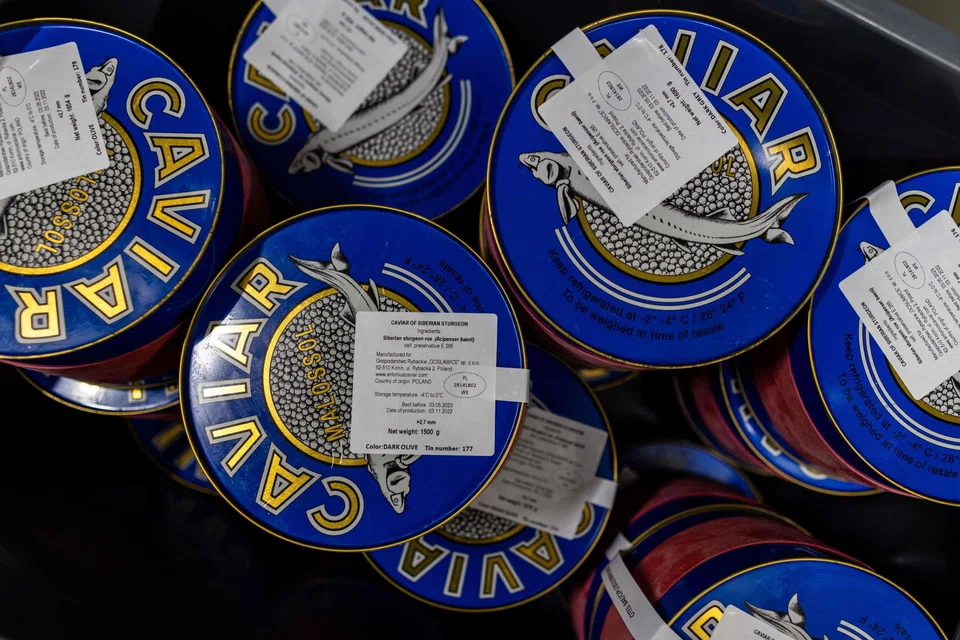 Tin cans with caviar that are ready for transport are seen at a fish farm in the north-eastern Polish village of Rus.