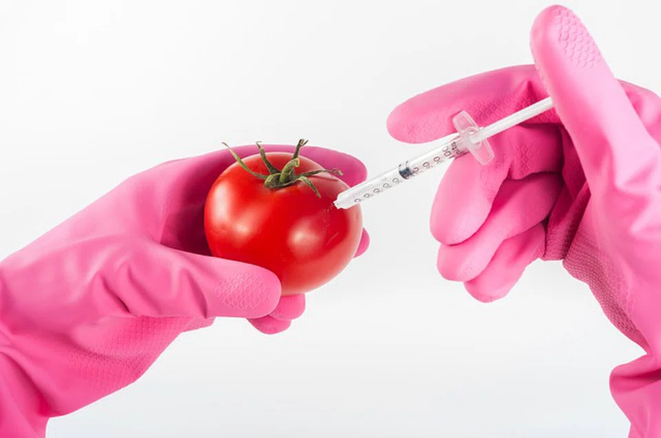 Seed companies have long complained about China's slow approval process for genetically modified (GM) crops, which can take more than a decade.