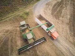 Prices in China have risen as Beijing stepped up stockpiling of grain for state reserves to support the market in the run-up to the planting of the new crop.