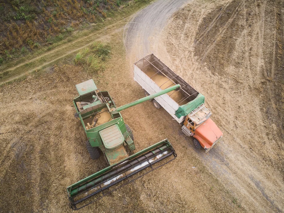 Prices in China have risen as Beijing stepped up stockpiling of grain for state reserves to support the market in the run-up to the planting of the new crop.
