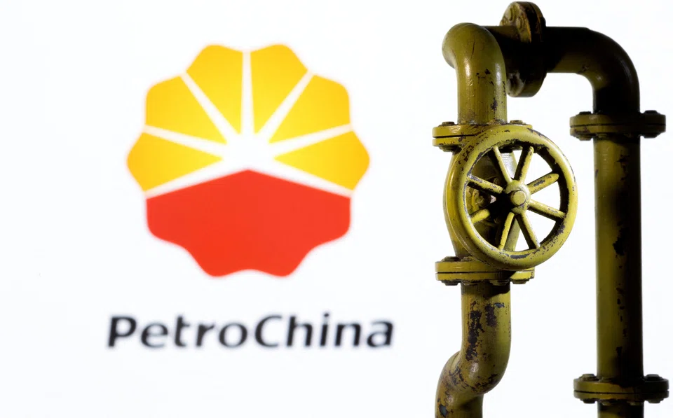 PetroChina says it is establishing and gradually expanding its global liquefied natural gas (LNG) portfolio through long-term investments.