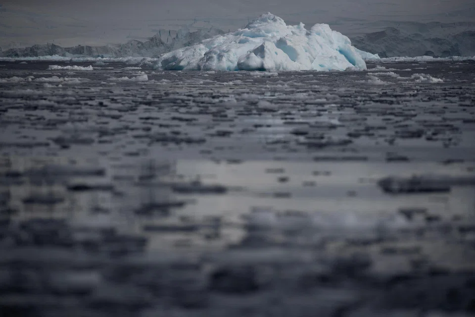 The Arctic has been hit hard by climate change over the last decade, with sea ice rapidly deteriorating as the northern region warms four times faster than the global average. 