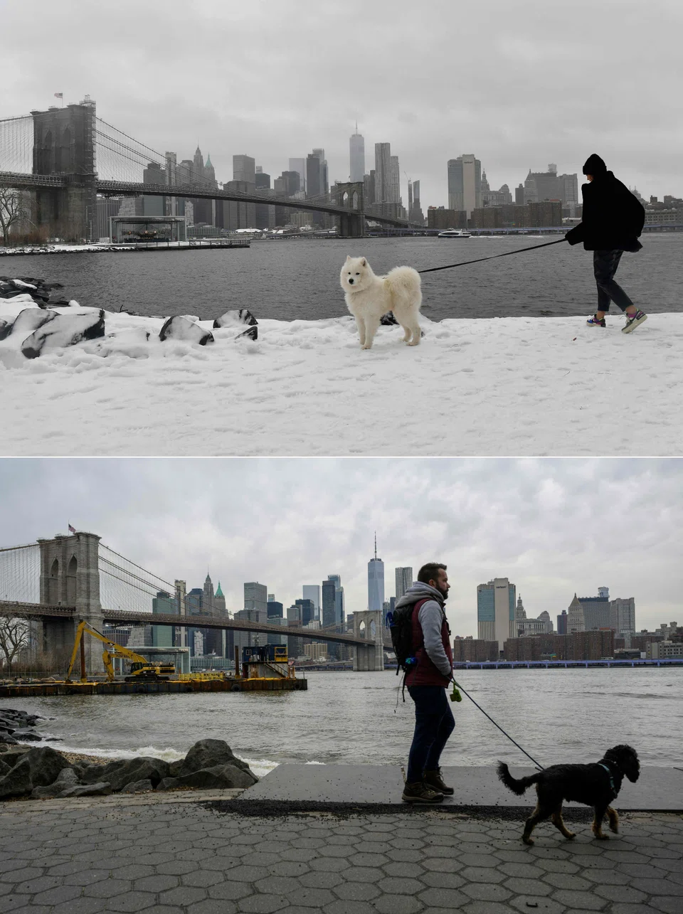 The skyline of lower Manhattan and the Brooklyn Bridge in New York City on Feb 2, 2021 (top) and Jan 25, 2023 (bottom). The city was forecast on Sunday to surpass a 50-year record for the latest first snowfall of the season.
It is also close to recording its highest number of consecutive days without any measurable flakes.