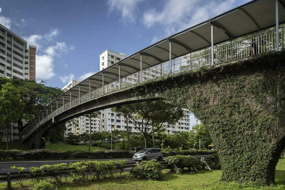 Pedestrian overhead bridges are emblematic of Singapore's development.