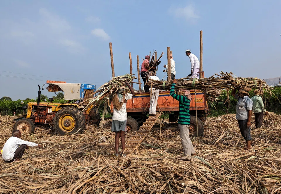 Sugar mill workers load harvested sugar cane onto a tractor trolley in Sangli district, in the western state of Maharashtra, India.