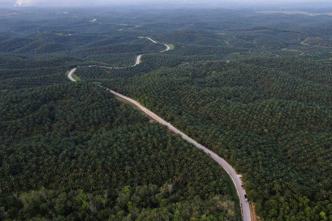 Indofood Agri Resources reported that its gross profit declined 15 per cent in H2 2023 due to lower average selling prices of palm and edible oils and fats products.