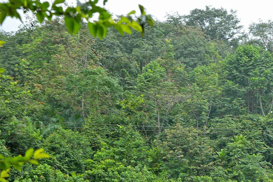 State of transition in the Sustainability Revolution