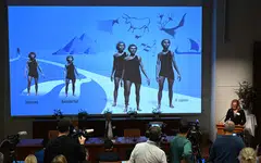 Anna Wedell, a member of the Nobel Committee for Physiology or Medicine, explains the research field of Svante Paabo, the winner of the 2022 Nobel Prize in Physiology or Medicine,  in Stockholm, Sweden, on Monday (Oct 3). 