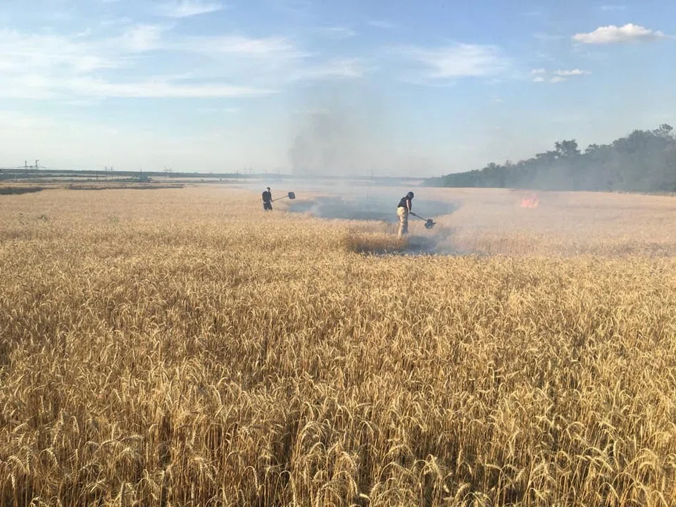 Rescuers fighting a fire due to shelling in a wheat field in Donetsk region, amid the Russian invasion of Ukraine. Zelensky says that the country may harvest only half its usual amount this year due to the Russian invasion.