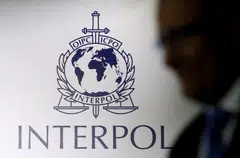 As part of an annual operation codenamed Pandora VII, forces led by Spain’s Guardia Civil police swooped on the art criminals from Sep 13 to 24 last year in a slew of European nations, Interpol said.