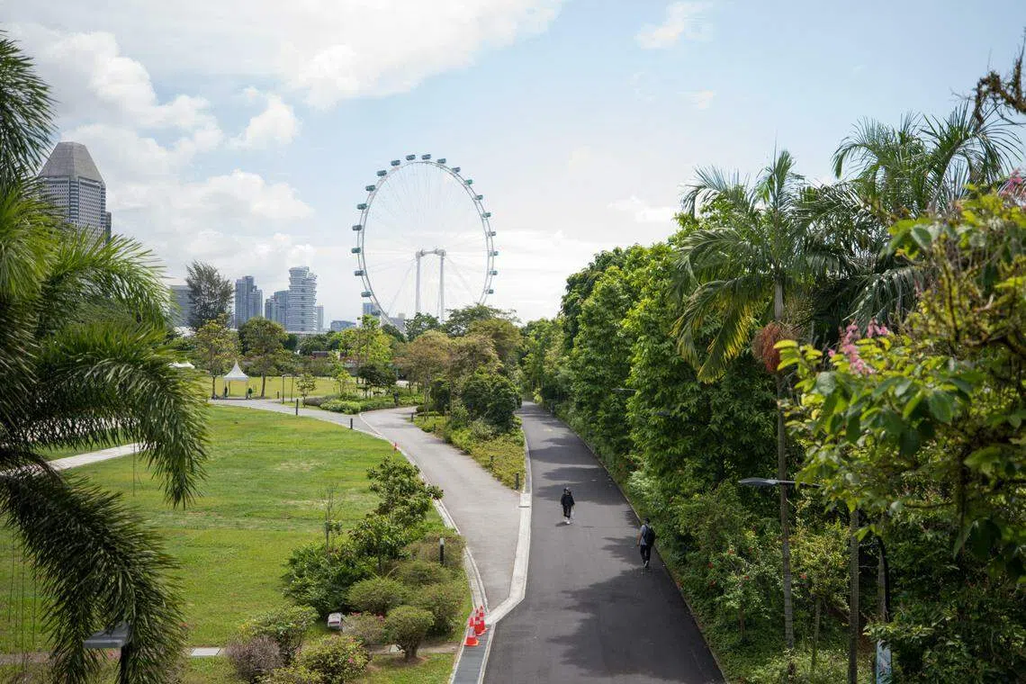 One of the walkway around Gardens by the Bay. At the ground is the Singapore Flyer.