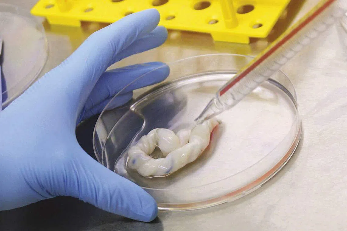 Bonvests, Tai Tak bow out as Cordlife's substantial shareholders