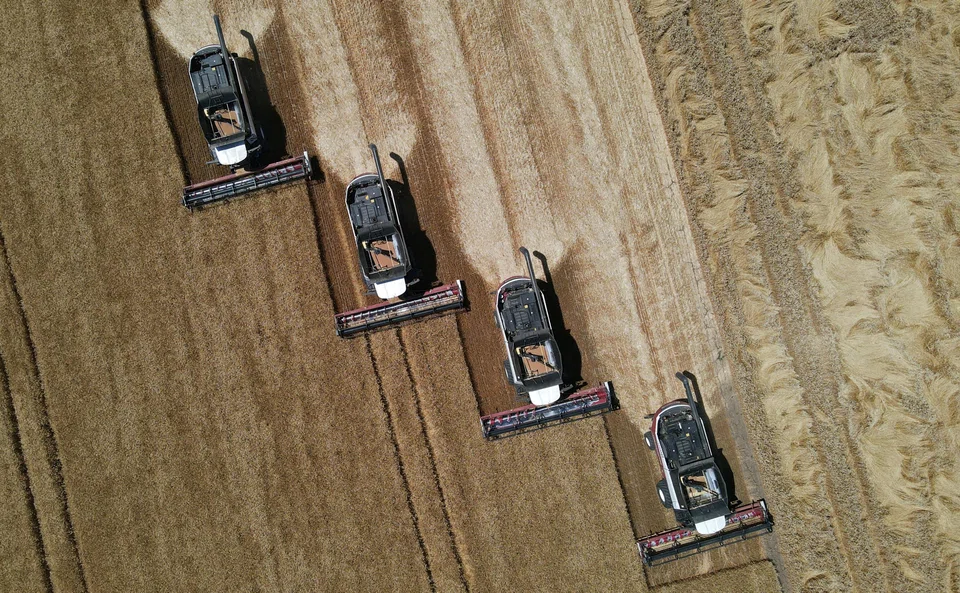 The Food and Agriculture Organization’s (FAO) price index, which tracks the most globally traded food commodities, averaged 131.2 points last month against 132.2 for December.