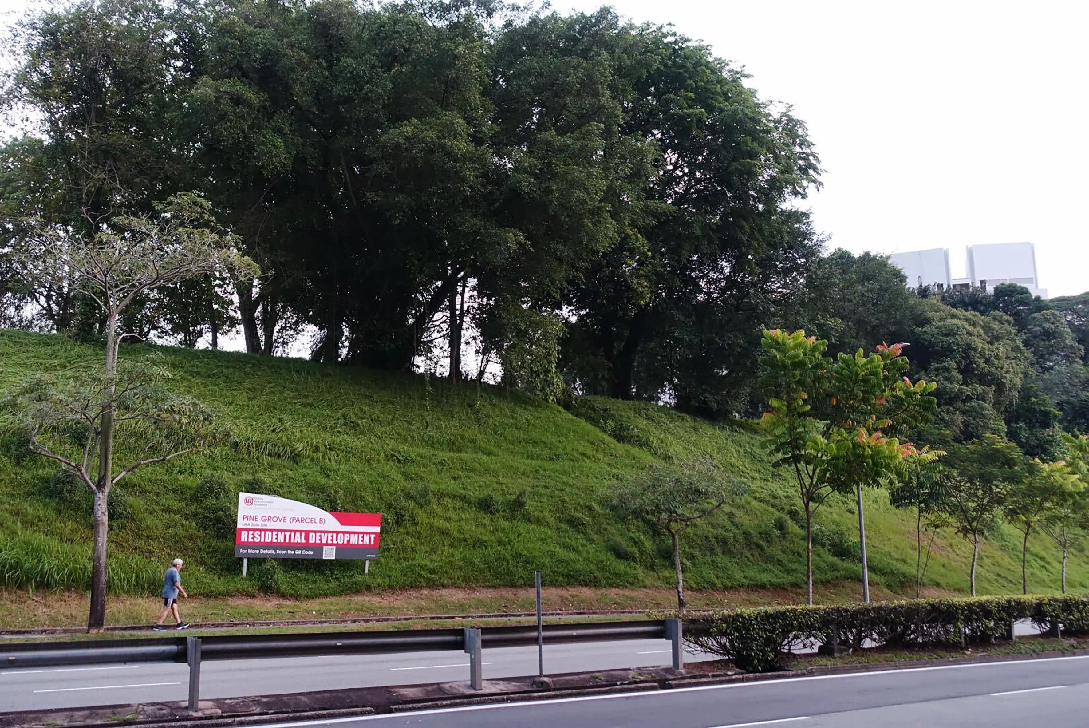 MCL Land JVs top bids for Clementi, Pine Grove plots at URA tender