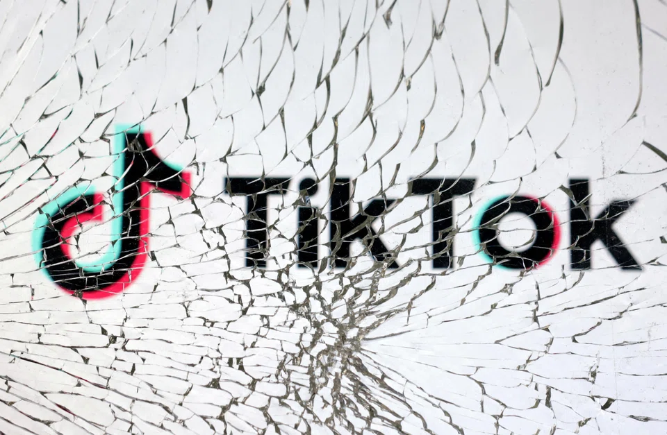 Numerous countries have raised concerns over Tiktok's proximity to the Chinese government and hold over user data across the world.