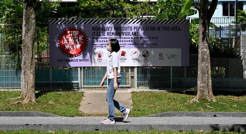 The Zika case comes amid a surge in dengue infections this year. 