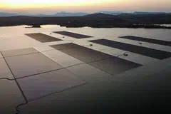 The report, which was released on Tuesday (Jul 19), looked at the top 100 companies by market capitalisation listed in 6 Asean markets, namely, Indonesia, Malaysia, Philippines, Singapore, Thailand and Vietnam. 