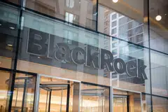While institutional investors in Asia-Pacific tend to focus on decarbonising their core portfolios to meet their net-zero targets, wealth investors are more interested in thematic strategies, says Bonnie Leung, head of sustainable and transition solutions for Asia ex-Japan at BlackRock. 