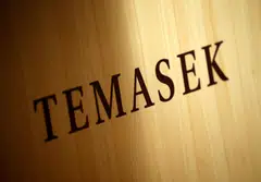 Temasek fully owns Singapore Technologies Telemedia, the parent of STT GDC. 