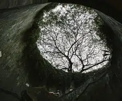 Marsh clients can qualify for the preferential terms by completing Marsh’s proprietary ESG Risk Rating assessment or that of an approved third-party rating methodology.