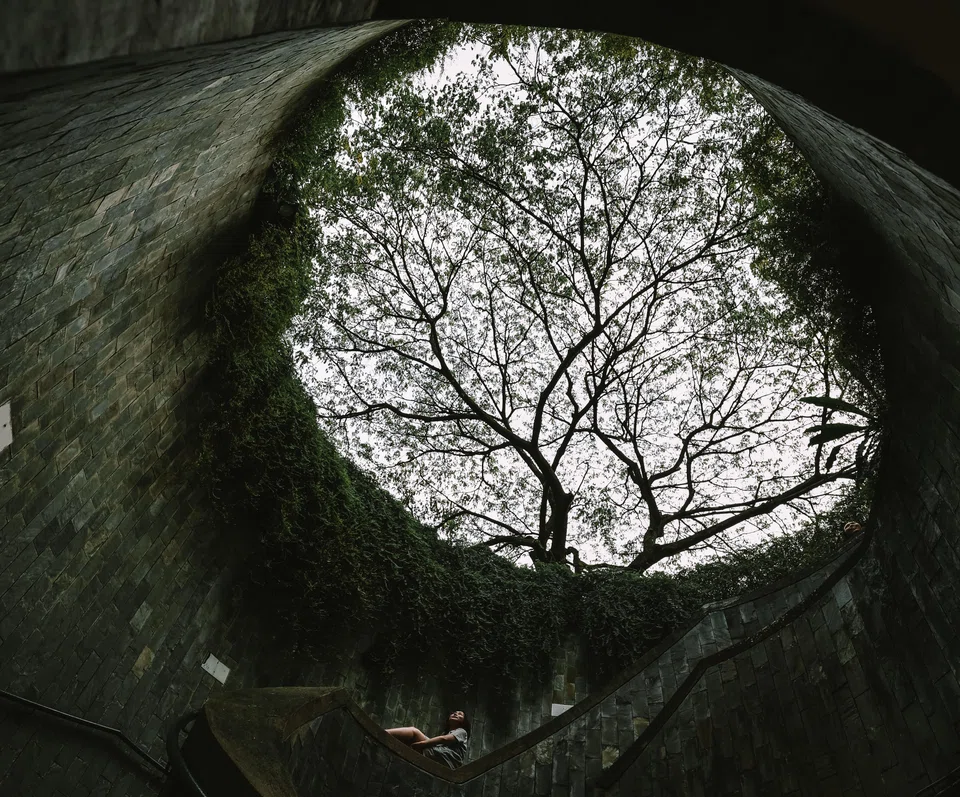 Critical gaps in sustainability practices in Asia remain, particularly when it comes to net-zero targets, transparency in emissions reporting and sustainability training. 