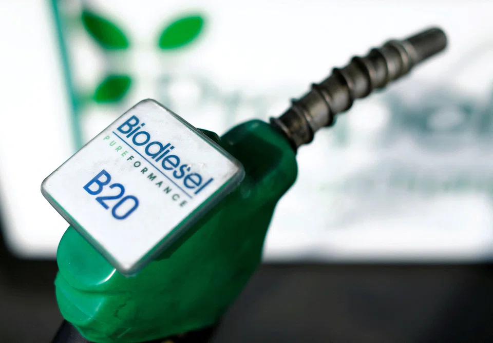 Malaysia has rolled out a B20 programme, where diesel for transportation must be blended with 20 per cent palm-based biodiesel, in phases with most areas in the nation currently implementing 10 per cent blending or a B10 programme for the transportation sector.