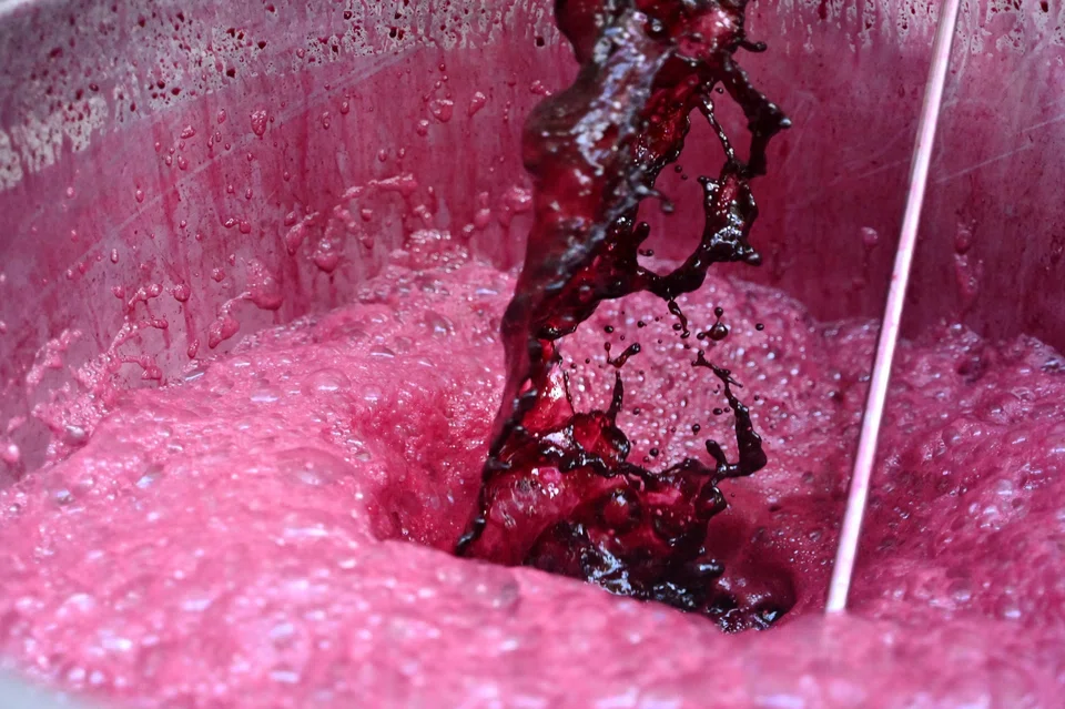 The extract from pressed red grapes being released from large containers ahead of fermentation at Chateau Mercian in the city of Koshu in Japan's Yamanashi prefecture, the birthplace of viticulture in Japan and the country's most iconic wine. 