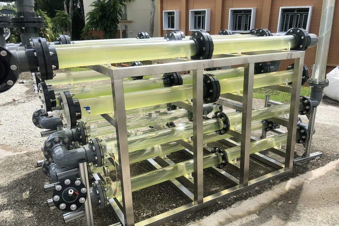 Agritech startup Life3 Biotech, Temasek Poly continue joint research in S-E Asia's first large-scale microalgae production