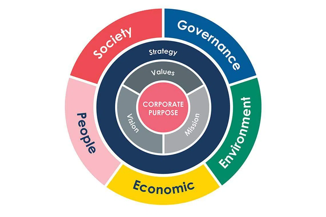 Companies deliver value to all stakeholders by doing more in the people, society, governance, economic and environment areas.