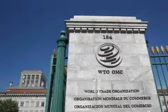 The World Trade Organization's boss insisted Monday that turning trade green was now urgent business, with the WTO putting climate change at the heart of its negotiations. 