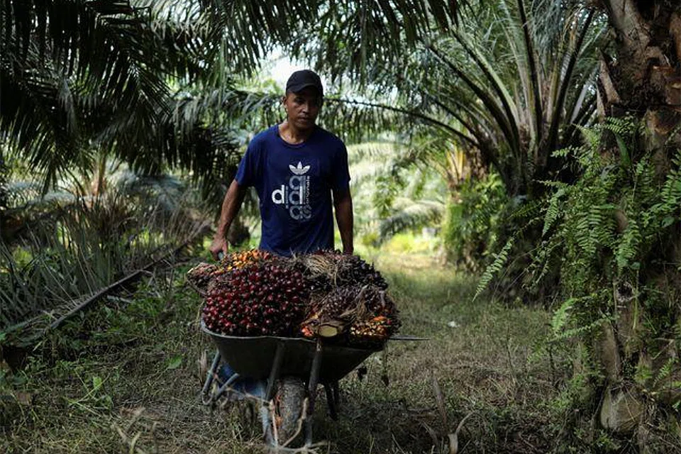 Malaysia calculated a reference price of RM3,575.80 per tonne for November, compared to RM4,033.51 in October.