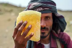 The United Nations says honey plays a “vital role” in Yemen’s economy, with 100,000 households dependent on it for their livelihoods.