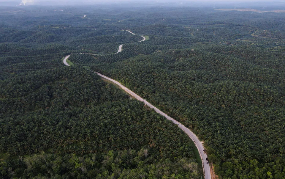 Indonesia has launched several programmes to improve governance in its massive palm oil industry, amid criticism by environmentalists of the crop’s impact on deforestation.