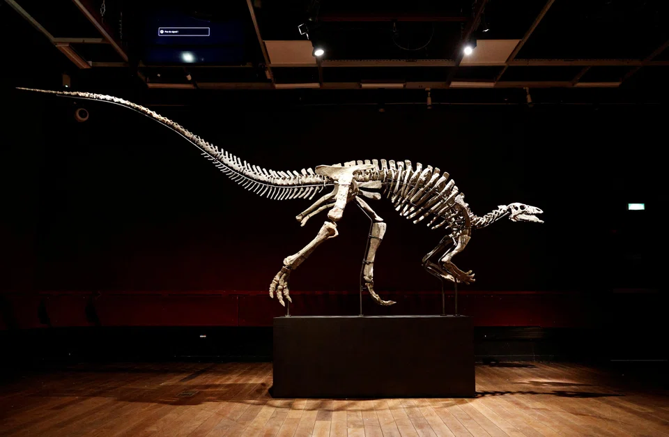 The dinosaur skeleton, which will be shown to the public in mid-October before the sale, is expected to fetch up to 1.2 million euros (S$1.7 million).