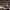FILE PHOTO: Apr 2, 2023; Inglewood, CA, USA; Cody Rhodes (navy blue pants) and Roman Reigns (black pants) during Wrestlemania Night 2 at SoFi Stadium. Mandatory Credit: Joe Camporeale-USA TODAY Sports/File Photo