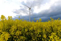 “I don’t think Covid held us back, almost kind of accelerated momentum. You can make a case that fiscal and monetary conditions were even more conducive, thanks to quantitative easing and the rates, so that you can see huge amount of capital deployed,” said Russell Tham, head of Temasek's strategic development. 