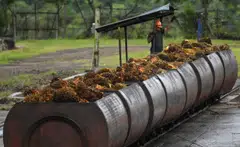 The probe will cover a period from 2015 to 2022 and 15 people have been questioned regarding the case so far.