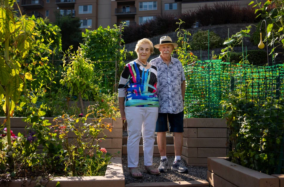 Charles and Louise Angel Kiss in the pea patch of their retirement community in Issaquah, Washington, Sept 2, 2022. They weren't able to sell their old home until they spent thousands of dollars renovating it. 